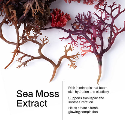 LUJANÉ Sea Moss Extract: highlighting its mineral-rich properties that boost skin hydration and elasticity while supporting repair and soothing irritation for a glowing complexion.