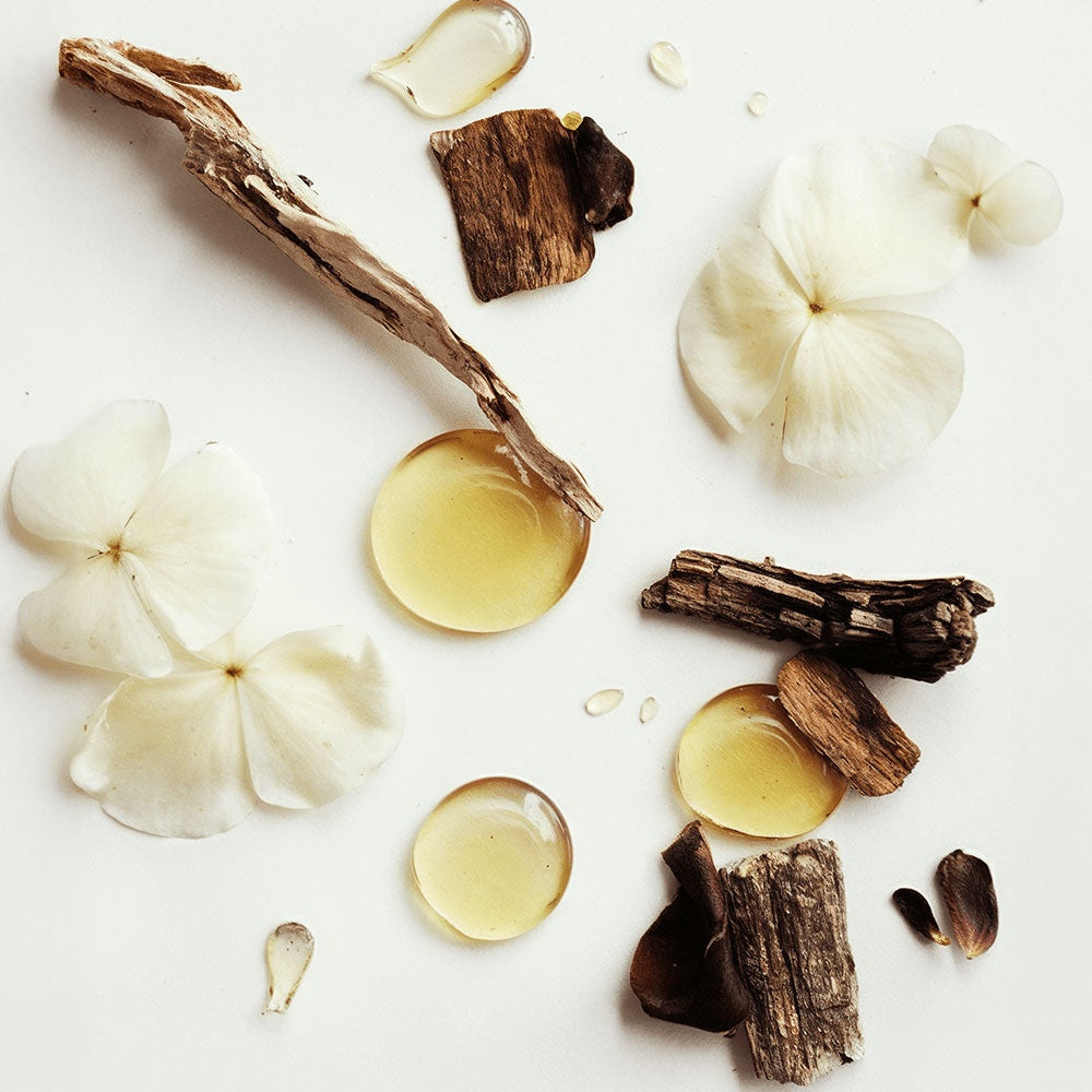 An artistic flat-lay of LUJANÉ Renewal Balm raw ingredients, featuring botanical extracts and nourishing oils that work in synergy to provide deep hydration and skin-repairing benefits.