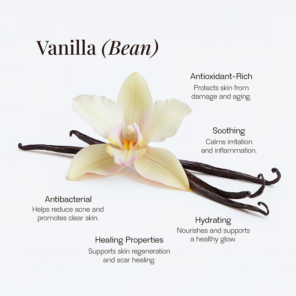 Infographic by LUJANÉ detailing the skincare benefits of Vanilla Bean, including antioxidant-rich protection against aging, soothing anti-inflammatory properties, antibacterial support for clear skin, and hydration for a healthy glow.