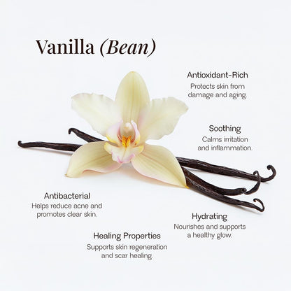 Infographic by LUJANÉ detailing the skincare benefits of Vanilla Bean, including antioxidant-rich protection against aging, soothing anti-inflammatory properties, antibacterial support for clear skin, and hydration for a healthy glow.